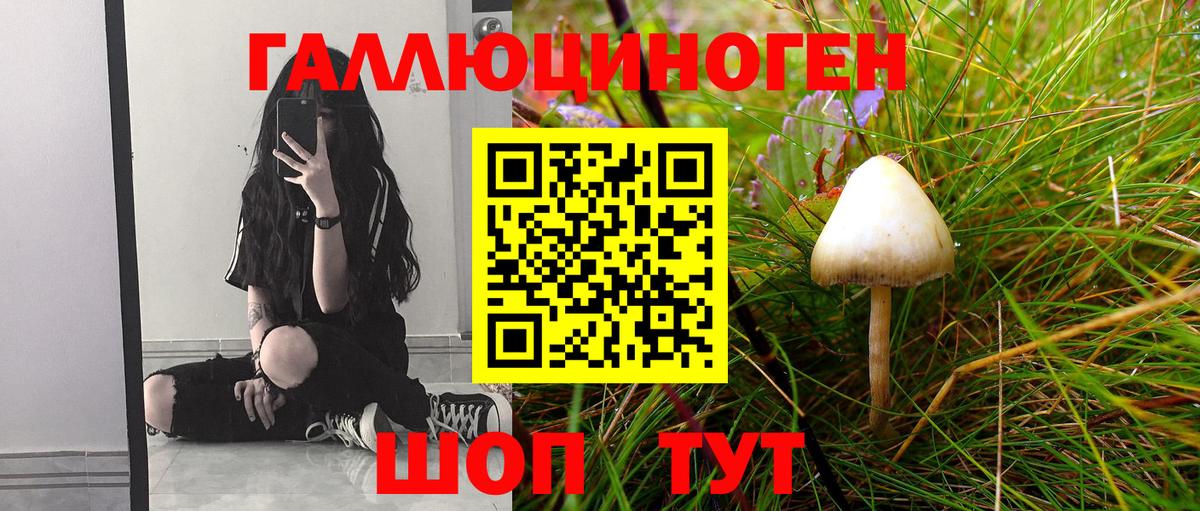 Галлюциногенные грибы мицелий Калуга