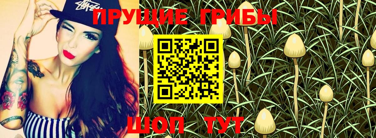Галлюциногенные грибы Psilocybine cubensis  Вход с VPN  Калуга 